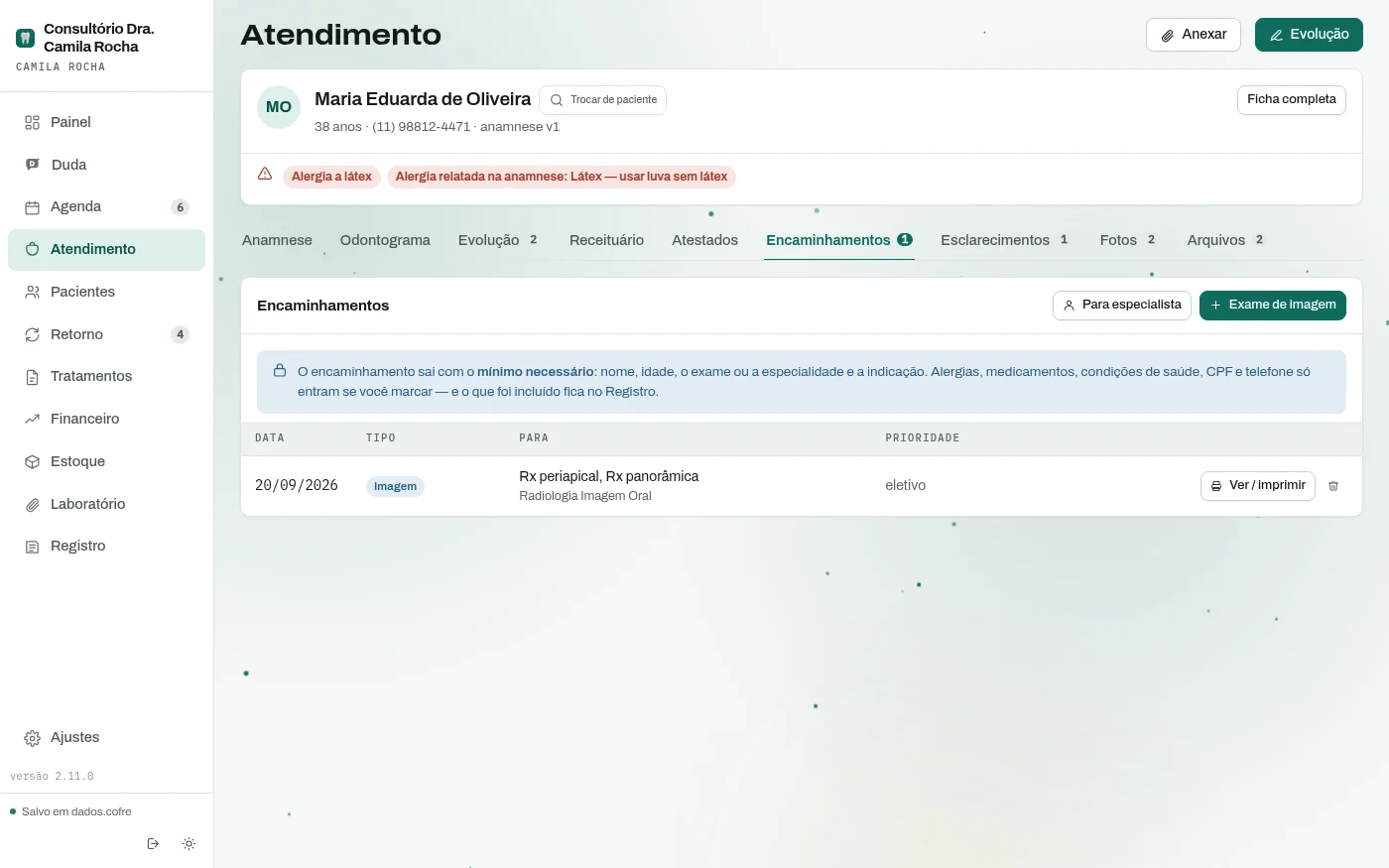 Aba de encaminhamentos do atendimento, com o aviso de dados mínimos e os encaminhamentos já emitidos.